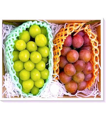 Amazon.co.jp: 高級ギフト 【ぶどう3種 食べ比べ〜オシャレな3姉妹